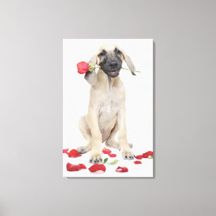 schattig, bewondering, romance, liefde, canvas afdruk