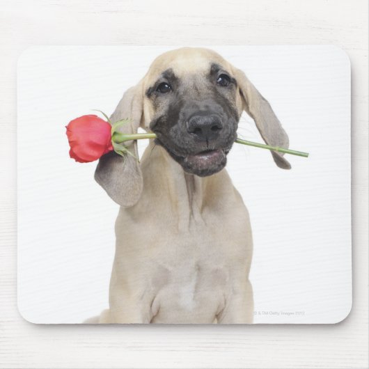 schattig, bewondering, romance, liefde, muismat (Voorkant)