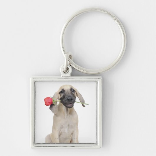 schattig, bewondering, romance, liefde, sleutelhanger (Voorkant)