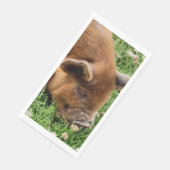 SCHATTIG BIGGETJE SERVET (Hoek)