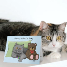 Schattig Blauw Aardig Grijs Beste Kattenmoeder Moe