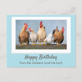 Schattig Blauw Gefeliciteerd Van De Kippen Briefkaart