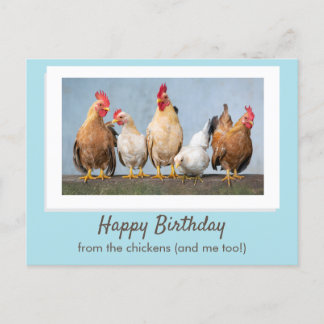 Schattig Blauw Gefeliciteerd Van De Kippen Briefkaart