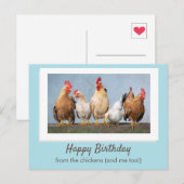 Schattig Blauw Gefeliciteerd Van De Kippen Briefkaart (Voorkant / Achterkant)