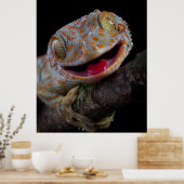 Schattig blij vandaag gecko poster (Keuken)