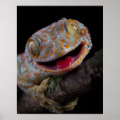 Schattig blij vandaag gecko poster (Voorkant)