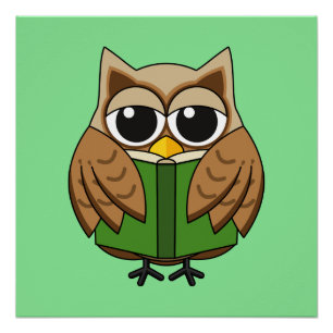 Schattig Boekenwurm Uil Leest Boek Cartoon Perfect Poster
