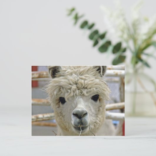 Schattig Briefkaart (Staand voorkant)