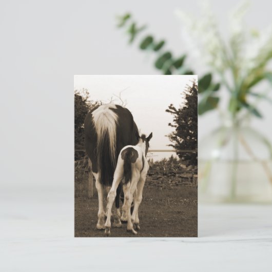 schattig briefkaart (Staand voorkant)