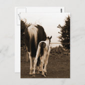 schattig briefkaart (Voorkant / Achterkant)