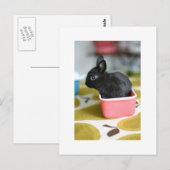 schattig briefkaart (Voorkant / Achterkant)