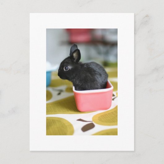 schattig briefkaart (Voorkant)