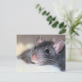 Schattig Briefkaart (Staand voorkant)