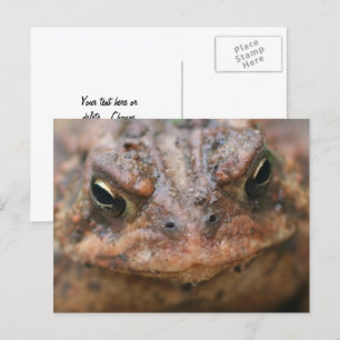 Schattig Bruin Pad Gesichts Natuur Briefkaart