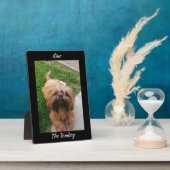 Schattig Bruin Tomboy Yorkshire Terrier Fotoplaat (Zijkant)