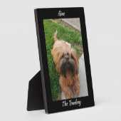 Schattig Bruin Tomboy Yorkshire Terrier Fotoplaat (Zijkant)