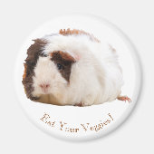 Schattig bruin wit cavia custom bericht magneet (Voorkant)