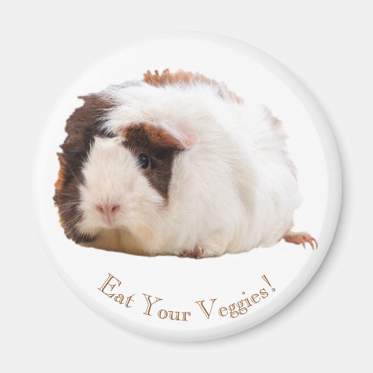 Schattig bruin wit cavia custom bericht magneet (Voorkant)
