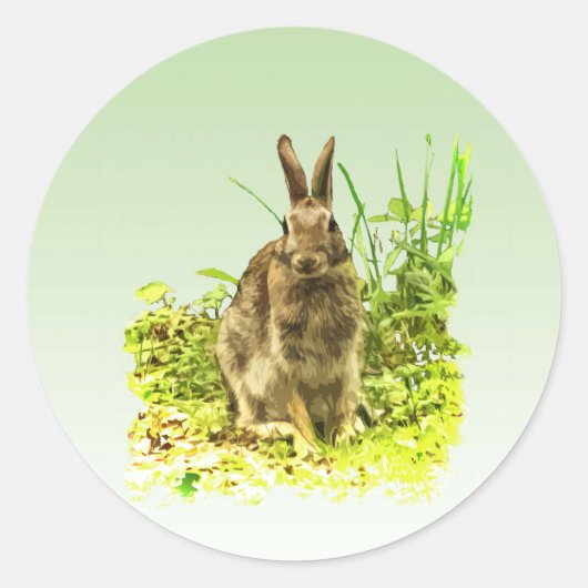 Schattig Bunny Rabbit in Grass Sticker (Voorkant)