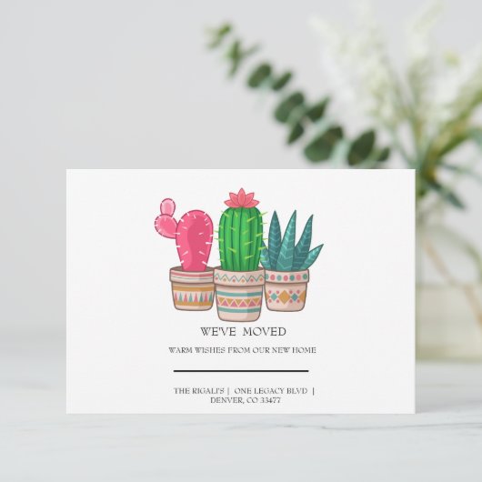 schattig Cactus thuis (Staand voorkant)
