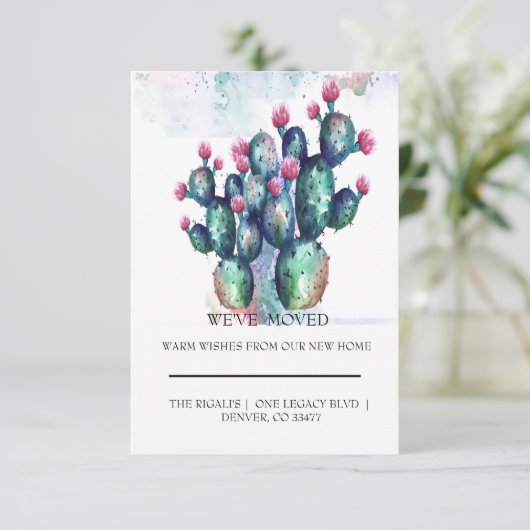 schattig Cactus thuis (Staand voorkant)