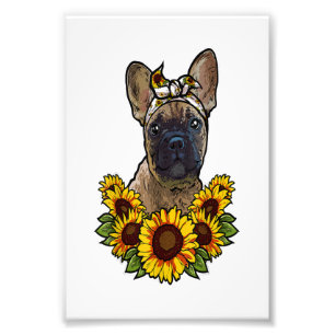 schattig cadeau van een franse stierenhond zonnebl foto afdruk