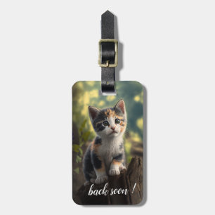 Schattig Calico Kitten Bagagelabel