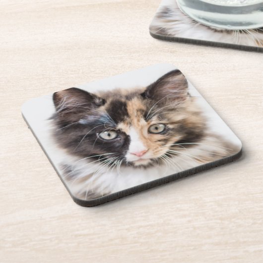 Schattig Calico Kitten Bier Onderzetter (Linkerzijde)