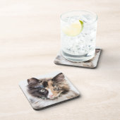 Schattig Calico Kitten Bier Onderzetter (Rechterzijde)