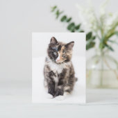 Schattig Calico Kitten Briefkaart (Staand voorkant)