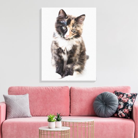 Schattig Calico Kitten Canvas Afdruk (Insitu (Woonkamer))