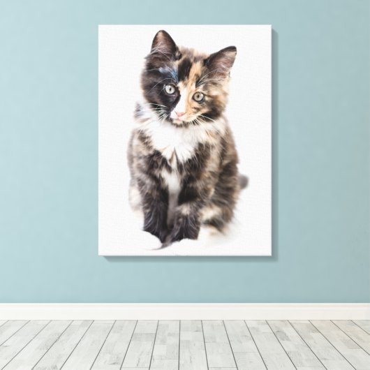 Schattig Calico Kitten Canvas Afdruk (Insitu (Houten vloer))