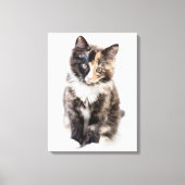 Schattig Calico Kitten Canvas Afdruk (Voorkant)