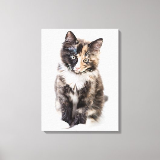 Schattig Calico Kitten Canvas Afdruk (Voorkant)