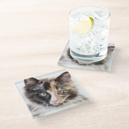 Schattig Calico Kitten Glazen Onderzetter (Schuin)