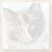 Schattig Calico Kitten Glazen Onderzetter (Achterkant)