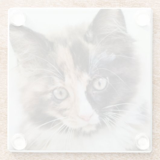 Schattig Calico Kitten Glazen Onderzetter (Achterkant)
