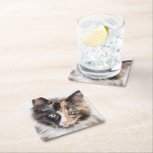 Schattig Calico Kitten Kartonnen Onderzetters (Insitu)