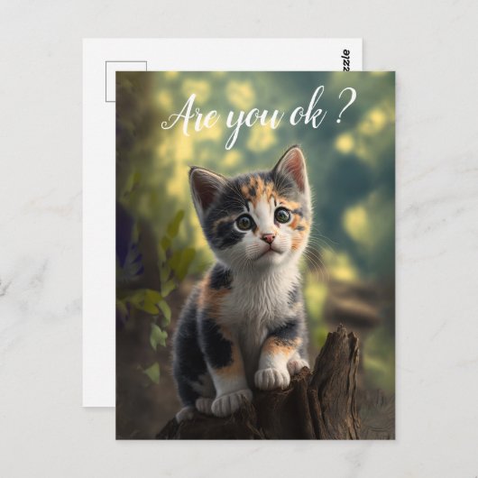 Schattig Calico Kitten maakt zich zorgen Briefkaart (Voorkant / Achterkant)