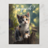 Schattig Calico Kitten maakt zich zorgen Briefkaart (Voorkant)