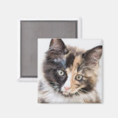 Schattig Calico Kitten Magneet (Voorkant / Achterkant)