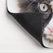 Schattig Calico Kitten Muismat (Hoek)