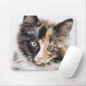 Schattig Calico Kitten Muismat (Met muis)