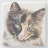 Schattig Calico Kitten Stenen Onderzetter (Voorkant)