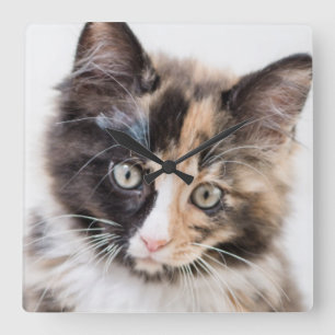 Schattig Calico Kitten Vierkante Klok