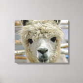 Schattig Canvas Afdruk (Voorkant)
