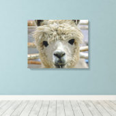 Schattig Canvas Afdruk (Insitu (Houten vloer))