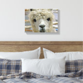 Schattig Canvas Afdruk (Insitu (Slaapkamer))