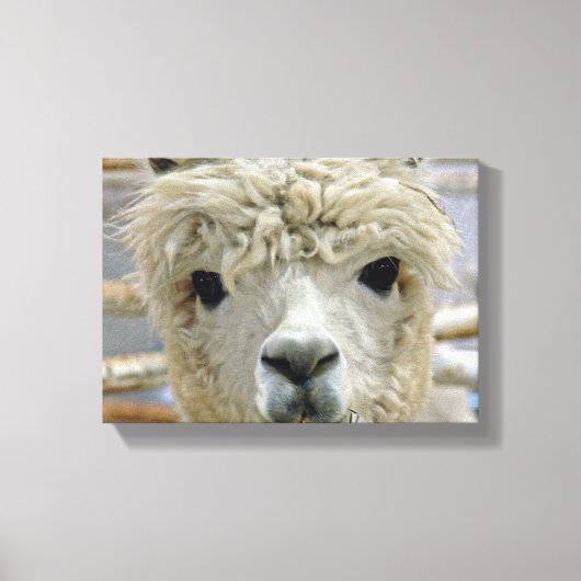 Schattig Canvas Afdruk (Voorkant)