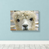 Schattig Canvas Afdruk (Insitu (Houten vloer))